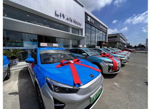 擦亮城市“绿色名片” 扬州首批新能源出租汽车正式投用